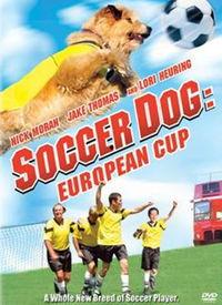 足坛神犬 在线观看,传奇犬只的足球传奇之旅 第1张 足坛神犬 在线观看,传奇犬只的足球传奇之旅 第1张