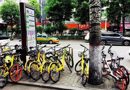 西安共享单车最新爆料 第3张 西安共享单车最新爆料 第3张